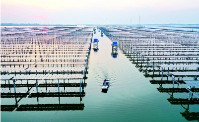 2月15日江苏省泗洪县天岗湖光伏发电产业基地方东旭摄 光明图片.png