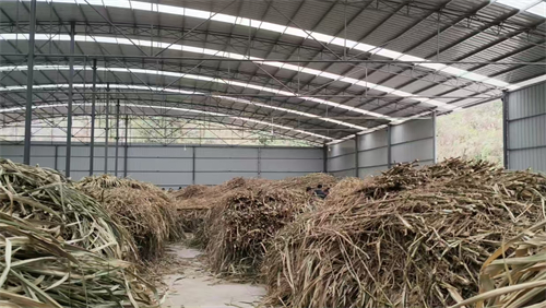 农民增收 企业增效 ——看我省小秸秆如何综合利用变废为宝2.jpg