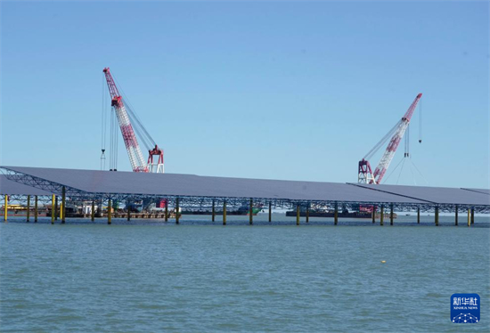 河北昌黎：海上光伏项目建设忙6.jpg